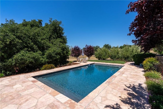 1185 Beaver Creek Ln, Paso Robles, CA 93446 - photo 43