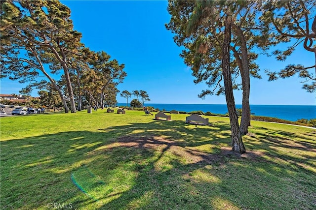 34550 Calle Naranja, Dana Point, CA 92624 - view of grassy yard featuring a water view