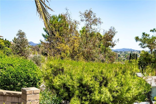 24752 Via, San Anselmo, Mission Viejo, CA 92692 - view of mountain backdrop