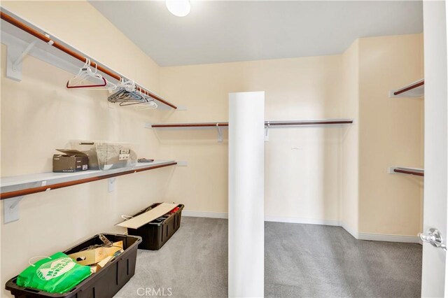 8 Via Del Fico Ct, Lake Elsinore, CA 92532 - spacious closet with carpet flooring