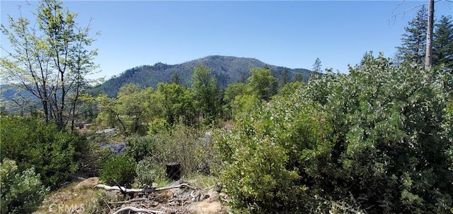 11150 Oak St, Cobb, CA 95426 - photo 1