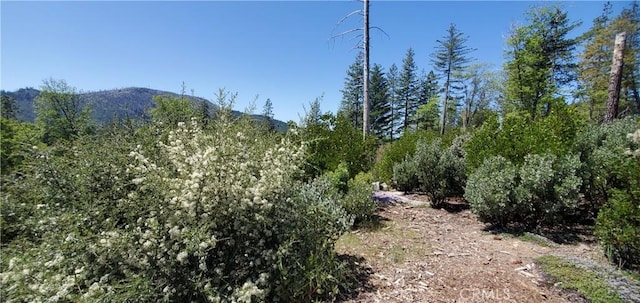 11150 Oak St, Cobb, CA 95426 - photo 2