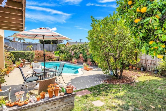 view of swimming pool featuring a fenced backyard and a patio area