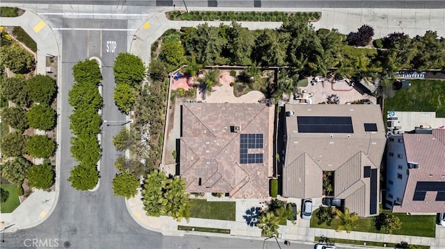 bird's eye view