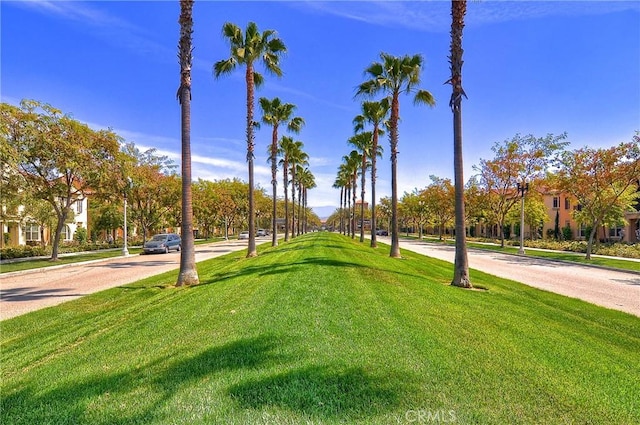 21 Fanpalm, Irvine, CA 92620 - view of community featuring a lawn