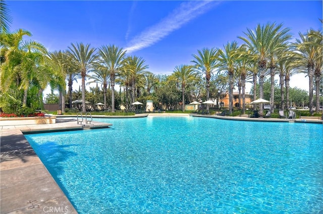 21 Fanpalm, Irvine, CA 92620 - view of community pool