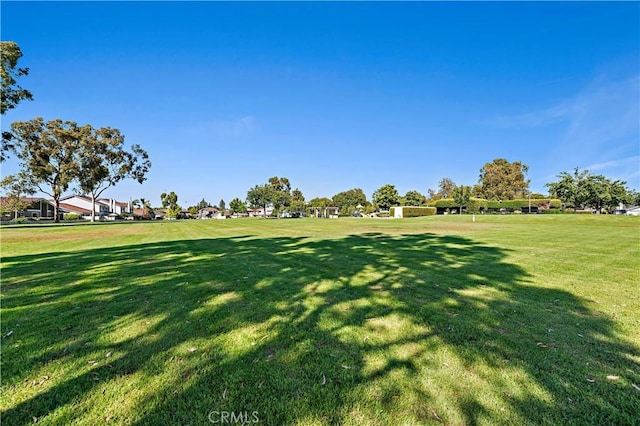 21 Fanpalm, Irvine, CA 92620 - view of home's community featuring a yard