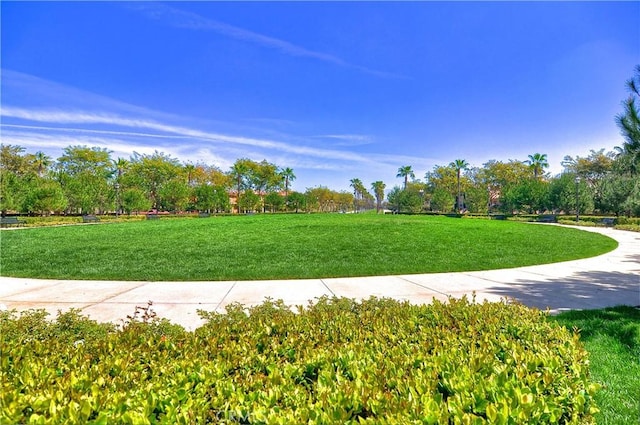 21 Fanpalm, Irvine, CA 92620 - view of community featuring a yard