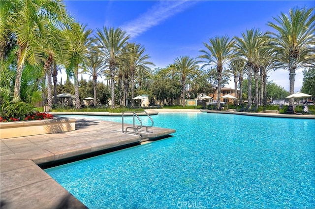 21 Fanpalm, Irvine, CA 92620 - community pool with a patio area