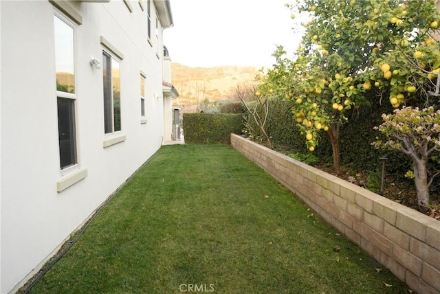 31740 Via Pamplona, San Juan Capistrano, CA 92675 - view of grassy yard