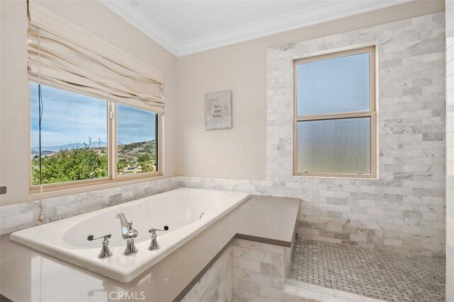 31740 Via Pamplona, San Juan Capistrano, CA 92675 - bathroom featuring crown molding and a garden tub