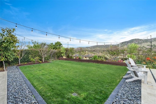 31740 Via Pamplona, San Juan Capistrano, CA 92675 - view of yard