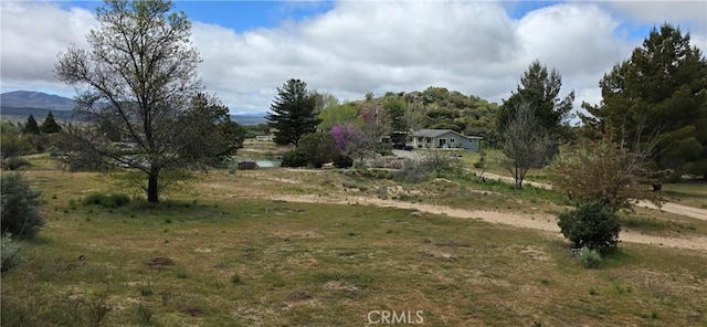 view of yard with a mountain view and a view of rural / pastoral area