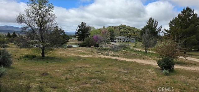 56695 Cain Rd, Anza, CA 92539 - view of yard featuring a mountain view and a rural view