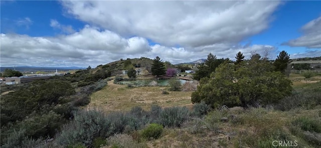 56695 Cain Rd, Anza, CA 92539 - view of undeveloped land with a mountainous background