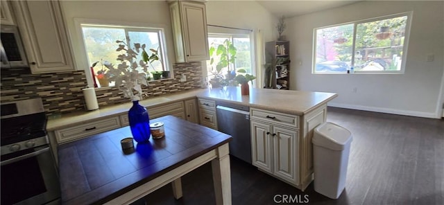 56695 Cain Rd, Anza, CA 92539 - kitchen with appliances with stainless steel finishes, tasteful backsplash, dark wood-style floors, and a peninsula