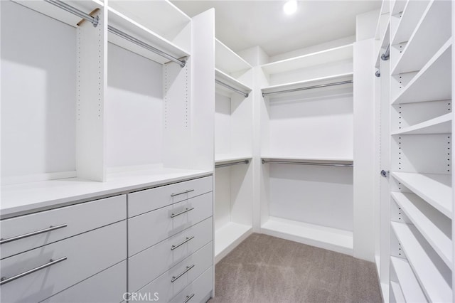 4530 E Langdon Dr, Anaheim Hills, CA 92807 - spacious closet featuring carpet