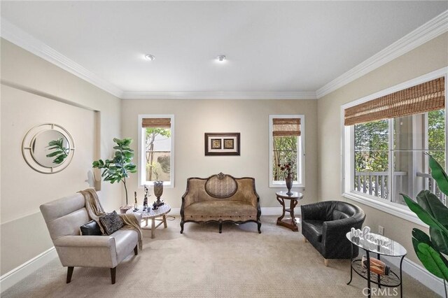 23478 Ridgeway, Mission Viejo, CA 92692 - sitting room with carpet floors, ornamental molding, and baseboards