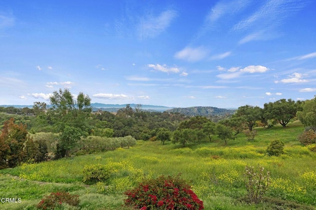 101 Via Tusa, Santa Barbara, CA 93105 - view of mountain backdrop