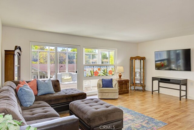 829 Via Alhambra Unit A, Laguna Woods, CA 92637 - living area featuring wood finished floors