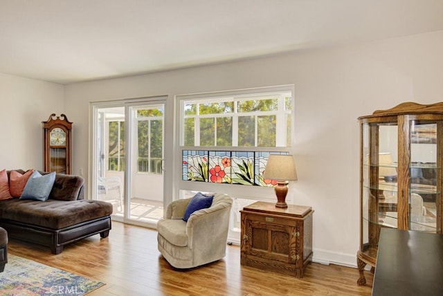 829 Via Alhambra Unit A, Laguna Woods, CA 92637 - living room with wood finished floors and baseboards