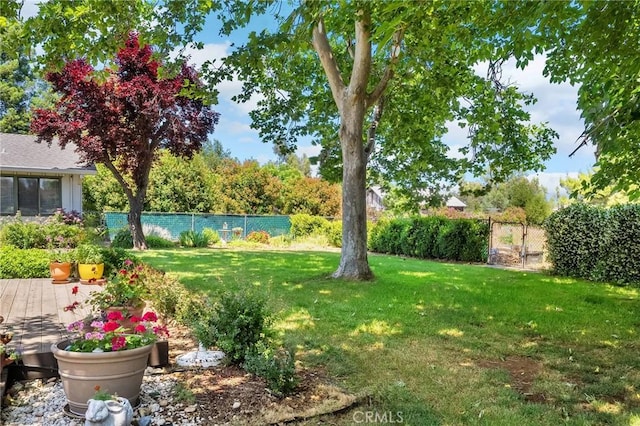 5456 Edith Ave, Corning, CA 96021 - view of yard