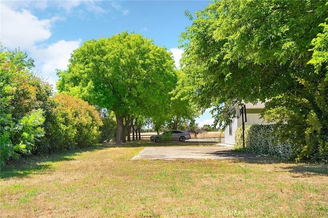 5456 Edith Ave, Corning, CA 96021 - view of green lawn