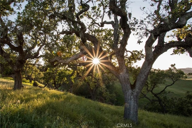 12460 San Marcos Rd, Atascadero, CA 93422 - view of undeveloped land