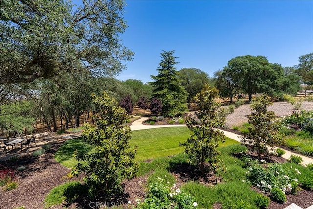 1685 Arbolado Rd, Paso Robles, CA 93446 - photo 50