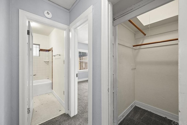 walk in closet featuring carpet flooring