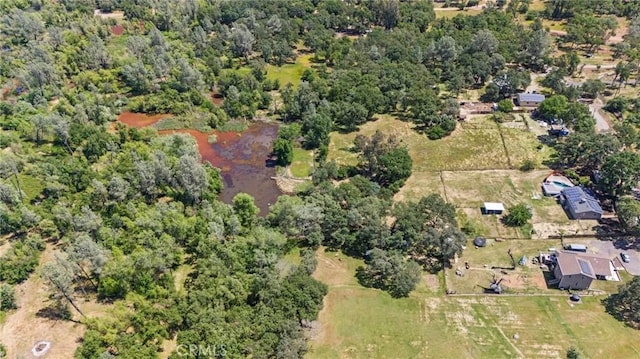 2681 Pinecrest Rd, Oroville, CA 95966 - view of property location featuring a heavily wooded area