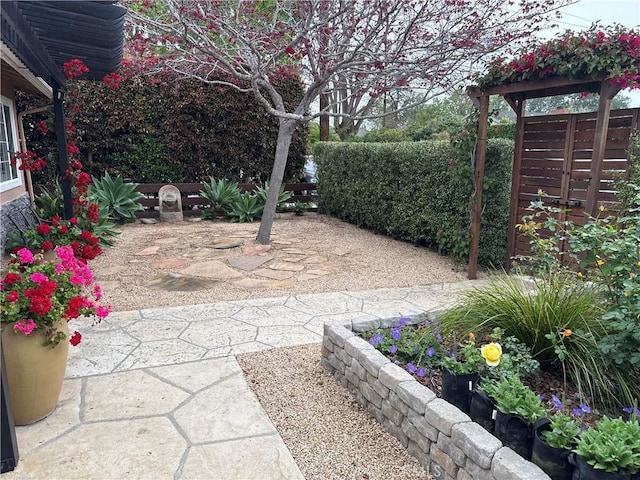 view of yard featuring a patio and fence
