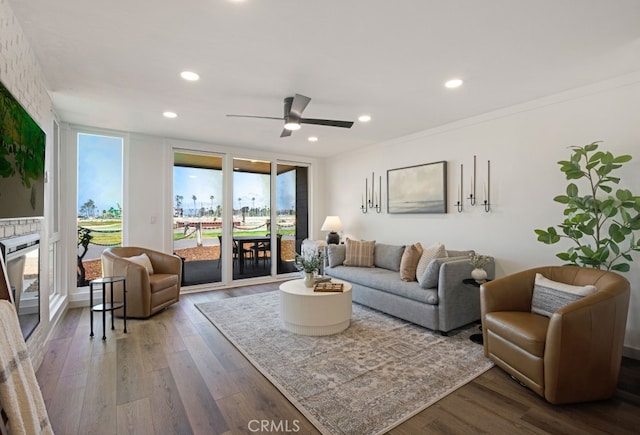 living area featuring wood finished floors, a ceiling fan, and recessed lighting