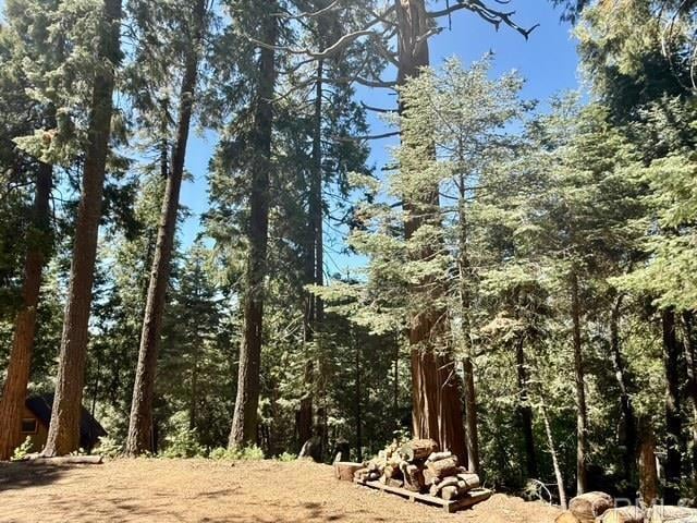 22104 Crestline, Palomar Mountain, CA 92060 - view of woods
