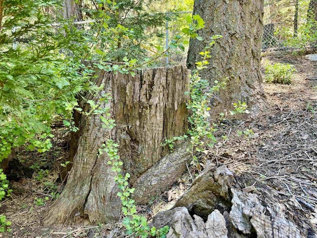 22104 Crestline, Palomar Mountain, CA 92060 - view of local wilderness