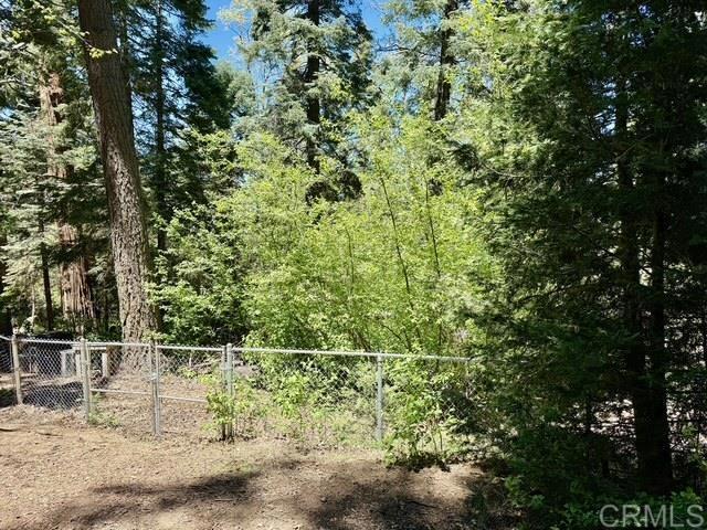 22104 Crestline, Palomar Mountain, CA 92060 - view of yard with a view of trees