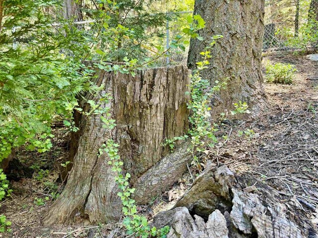 22104 Crestline, Palomar Mountain, CA 92060 - view of nature