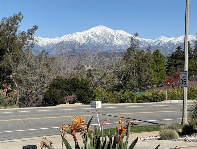 618 E Sunset Dr N, Redlands, CA 92373 - view of mountain background