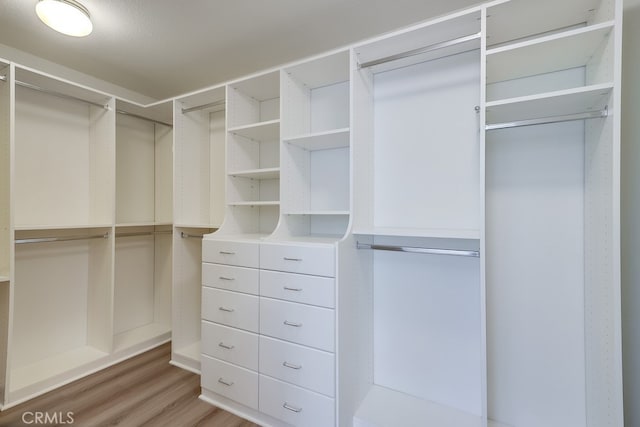 2115 Via Viejo, San Clemente, CA 92673 - spacious closet featuring light wood-style floors