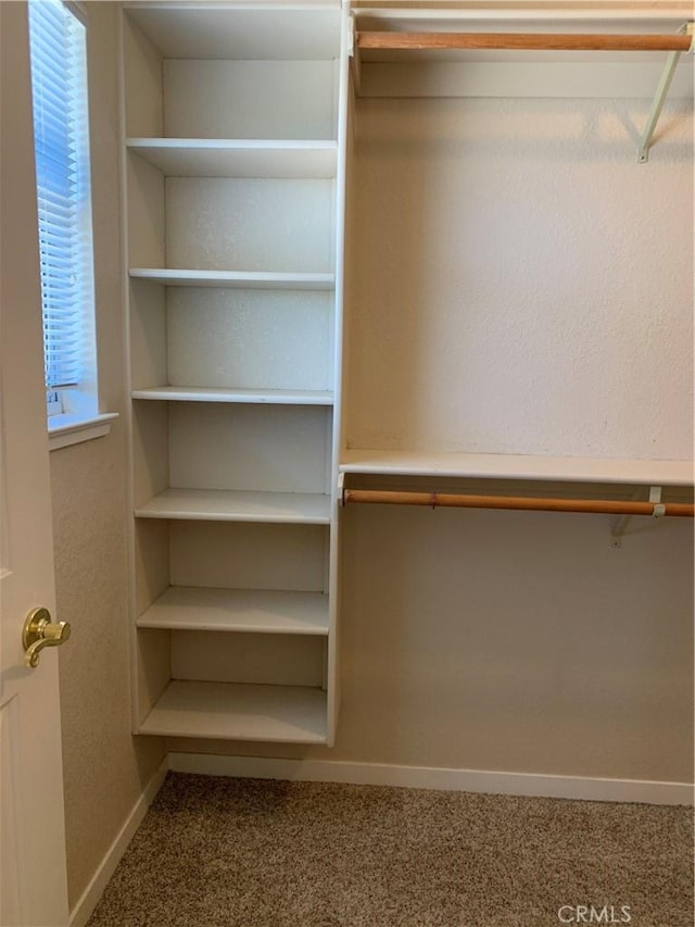 18427 Deer Hl, Hidden Valley Lake, CA 95467 - walk in closet with carpet floors