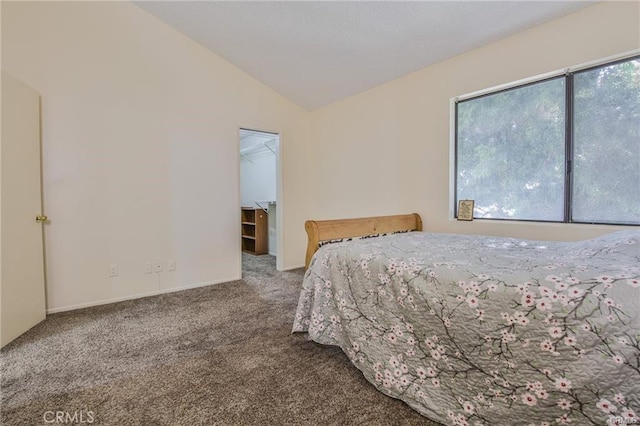 carpeted bedroom with lofted ceiling and a walk in closet