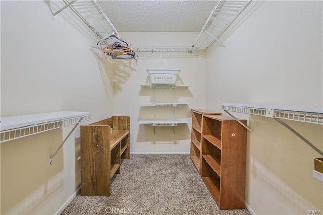 spacious closet with carpet
