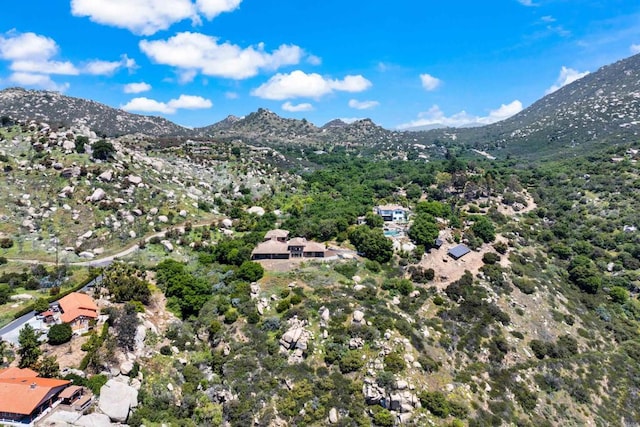 15711 Salida Del Sol, Ramona, CA 92065 - photo 63