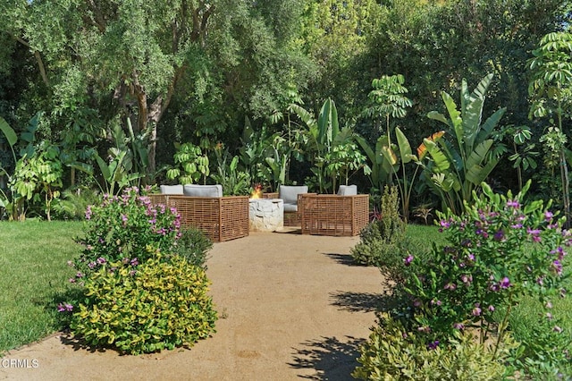 620 S Allen Ave, San Marino, CA 91108 - view of home's community featuring a patio area and outdoor lounge area