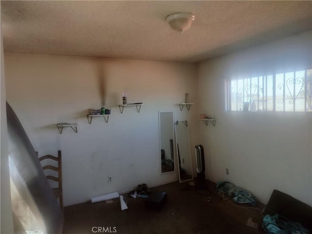 laundry area featuring a textured ceiling and carpet