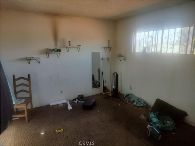 laundry area featuring carpet