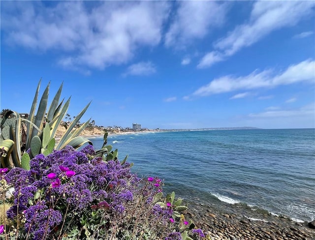 5363 La Jolla Blvd Unit 44, La Jolla, CA 92037 - photo 4