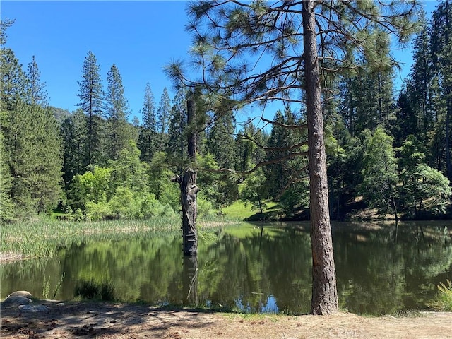 water view with a heavily wooded area