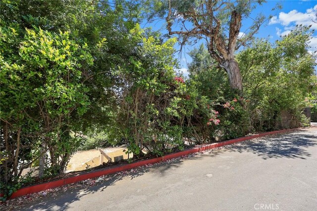 1529 Indiana Ave, South Pasadena, CA 91030 - photo 22