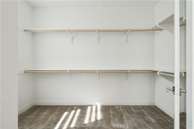 26288 Meadow Dr, San Juan Capistrano, CA 92675 - spacious closet with carpet